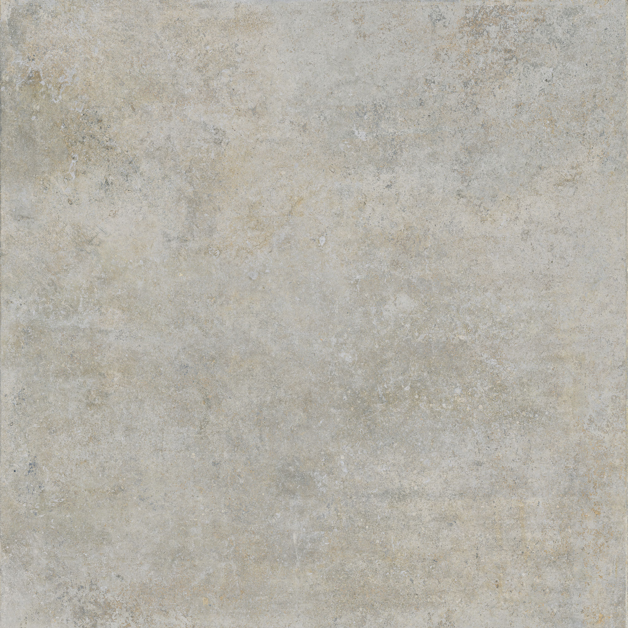 GRIGIO