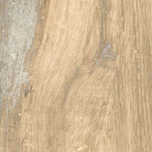 Dalle céramique INFUSION BIRCH