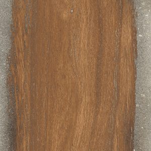 Dalle céramique INFUSION NUT